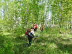    ,  2015 .