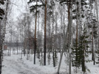     ,  2016 .